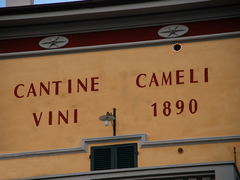 Cantine Cameli